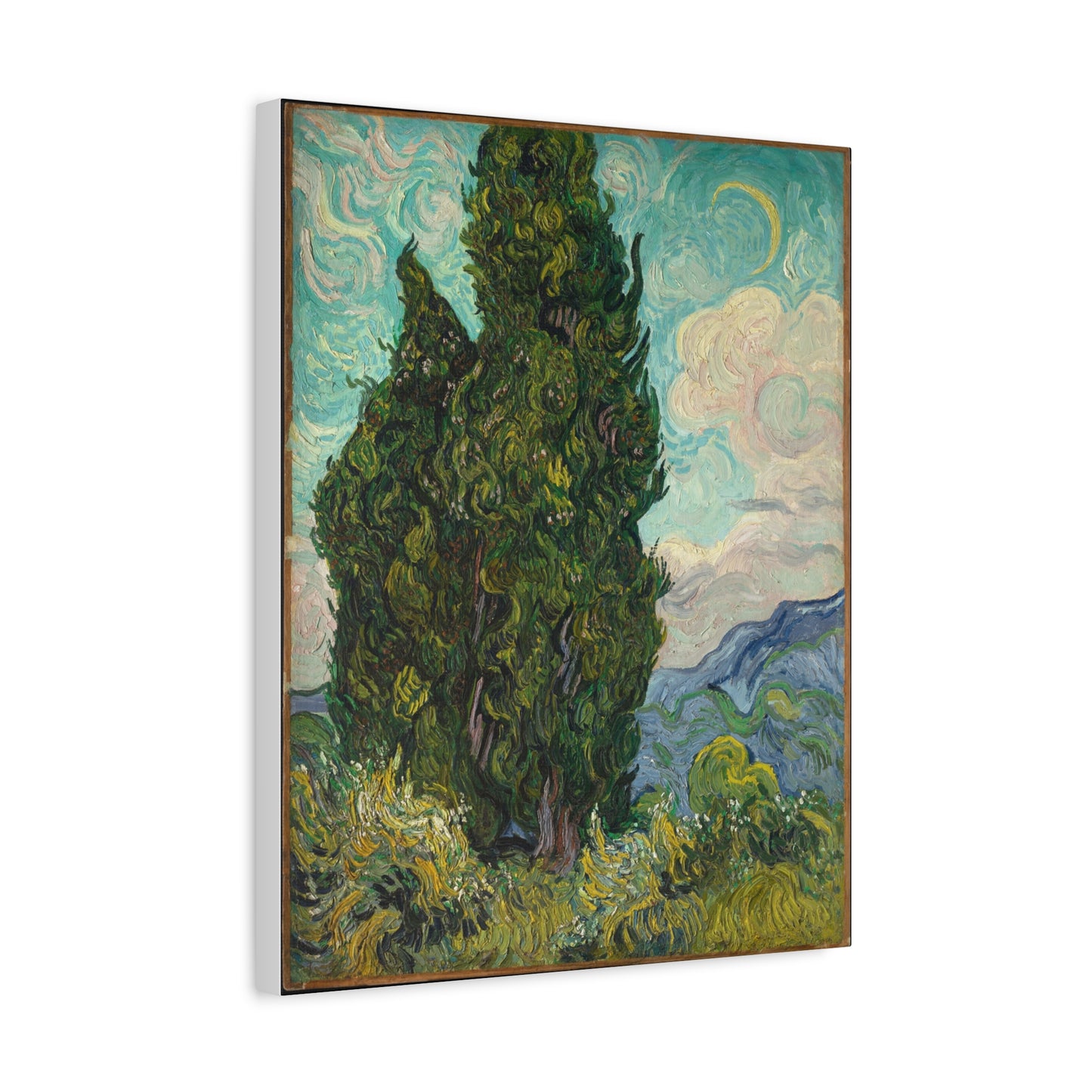 Cypresses Canvas Print