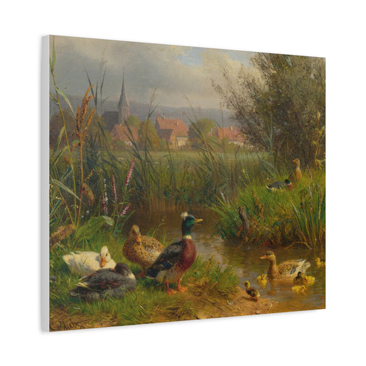 Ducks by the Stream Canvas Print