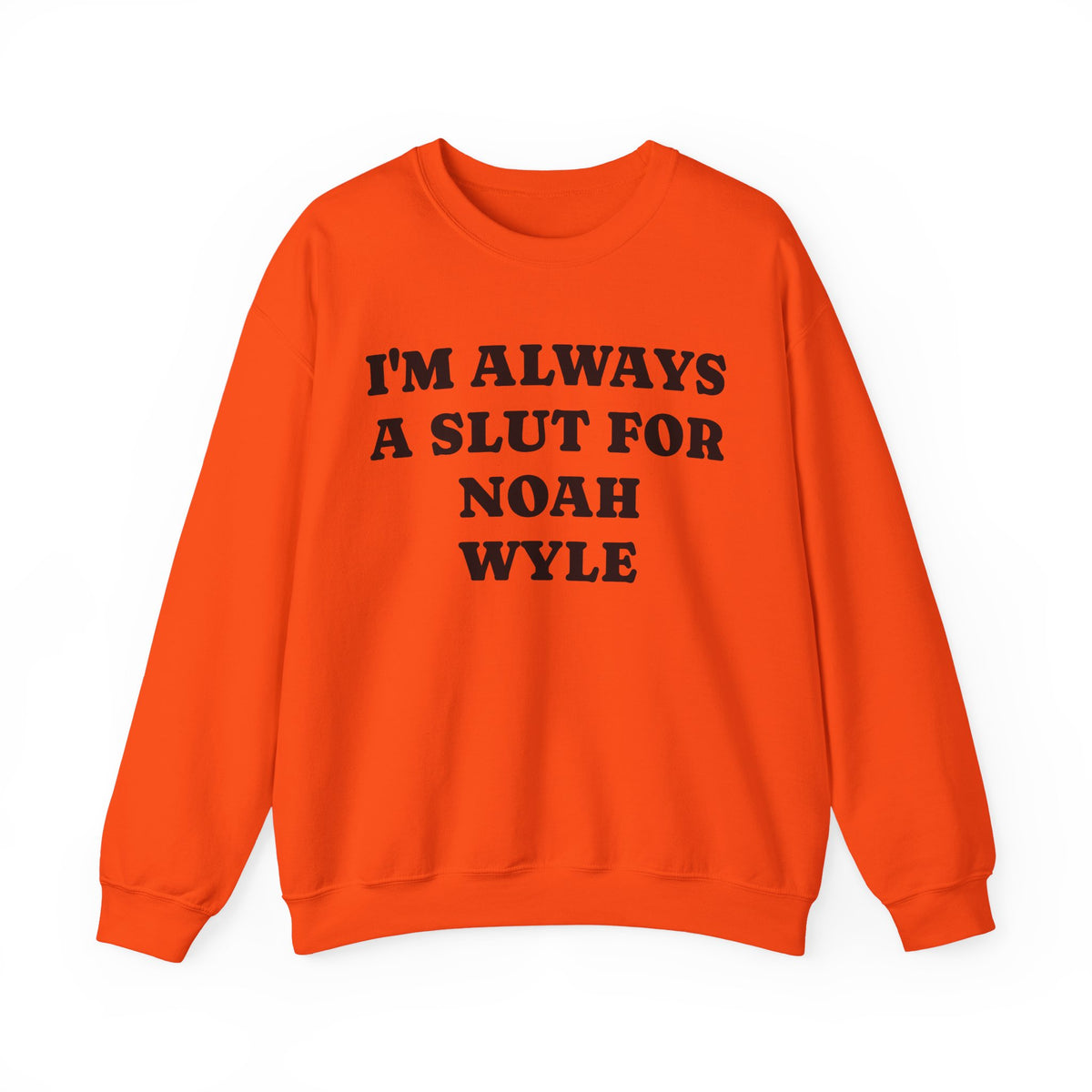 I’m Always A Slut For Noah Wyle Sweatshirt