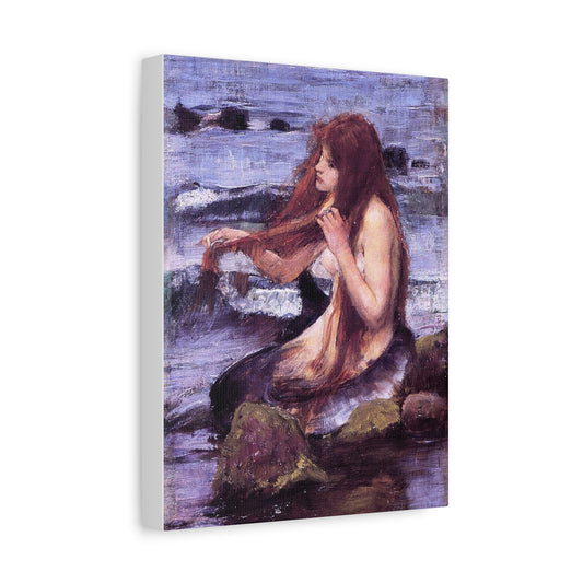 Sketch of A Mermaid Canvas Print